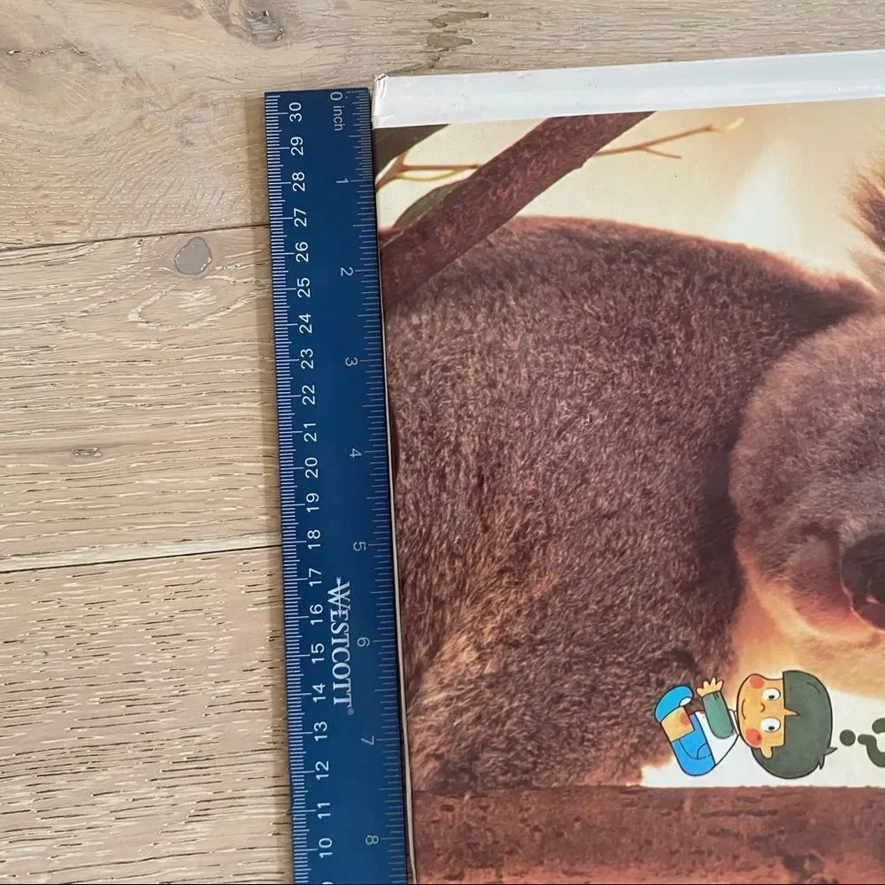 Children's Book Set Animals